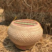 ราคา กระติบข้าวเหนียว รุ่นรูปฟักทองขนาดใหญ่ ขนาด 8*6.5 นิ้ว (7018249026)