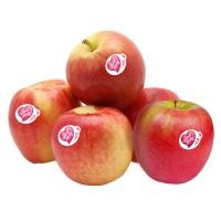 ราคา แอปเปิ้ลพิงค์เลดี้ แพค 5 Pink Lady Apple Pack 5 [หมายเลขบาร์โค้ด 0000020959814 ] (51903149726)