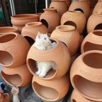ราคา โอ่งแมวดินเผา บ้านแอร์ดินเผา มีฝาปิด (ได้ 1 ชิ้น ส่งคละลาย) พร้อมส่ง (18293164994)