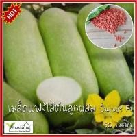 ราคา 50 เมล็ด แฟงไส้ตัน ลูกผสม ปิ่นเพชร F1 ศรแดง แบ่งขาย เมล็ดฟักแฟง เมล็ดฟัก เมล็ดแฟง เมล็ดแฟงไส้ตัน (24534331804)