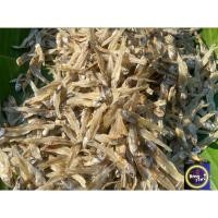 ราคา ปลากระตักแห้ง ปลาจิ้งจั้ง เกรดสวย ไม่ตัดหัว ไม่ขม ไม่เค็ม สะอาด สดใหม่ ขนาด200กรัม (47302902162)