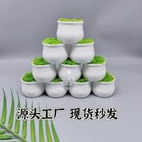ราคา กระถางพลาสติกจิ๋วมีโฟมและหญ้าเขียว (52654397053)