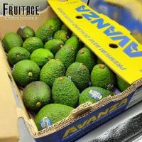 ราคา อะโวคาโด (ยกลัง28-30ลูก) (USA/NZL/AUS) ~ลดพิเศษ~ส่งฟรี~ Premium อโวคาโด้ อะโวคาโด้ Avocado ! ไม่ใช่ อบแห้ง อโวคาโดสด (4533198739)