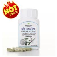 ราคา อ้วยอัน ฟ้าาทะลายโจร พร้อมส่ง 100แคปซูล (11935379742)