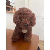 ราคา ตุ๊กตา toy poodle สีน้ำตาล (27309036426)