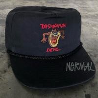 ราคา หมวกวินเทจ 90s TASMANIAN DEVIL LOONEY TUNES ROPE (46207044087)