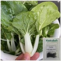 ราคา เมล็ดพันธุ์กวางตุ้งเบบี้ต้นขาว (บล๊อกฉ่อย)100 เมล็ด เเถม2️⃣ (4345513454)