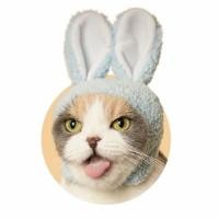 ราคา กาชาปองหูกระต่ายจาก Japan (157262567)