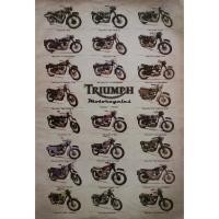ราคา โปสเตอร์ รูปถ่าย รถมอเตอร์ไซค์ บิ๊กไบค์ ซูเปอร์ไบค์ ไทรอัมพ์ TRIUMPH Motorcycle POSTER 24”X35” BRITISH Motorbike (1641120600)