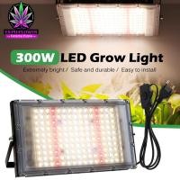 ราคา 220V Full Spectrum LED Grow Light 50W 100W 300Wไฟปลุกต้นไม้ ไฟช่วยต้นไม้ตัวเร็ว ไฟปลูกต้นไม้ ไฟปลูกกัญชา สายไฟยาว1.5M (18532899261)