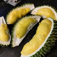 ราคา ส่งด่วน ทุเรียน เกรดพรีเมี่ยม ทุเรียนหมอนทอง ทุเรียนนกหยิบ ทุเรียนก้านยาว ทุเรียนชะนี แกะเนื้อล้วน (42303628753)