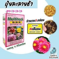 ราคา ปุ๋ยละลายช้า สูตร 16-16-16 มัลติเทค (แบบกล่อง 1กก.) ละลายช้า 4เดือน ปุ๋ยต้นไม้ ปุ๋ยแคตตัส ปุ๋ยบำรุง ปุ๋ยกล้วยไม้ ปุ๋ย (17295743160)