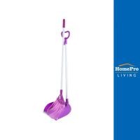 ราคา BE MAN ชุดไม้กวาดไนลอนพร้อมที่โกยผง BE WISH 10 นิ้ว สีม่วง จัดส่งโดย HomePro (23985335907)