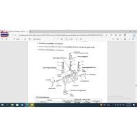 ราคา สินค้าขายดีคู่มือซ่อมเกียร์ออโต้honda city เกียร์AUToและเกียร์MT (43776233800)