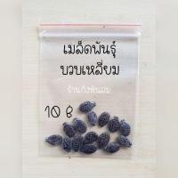 ราคา บวบเหลี่ยม เมล็ดพันธ์บวบเหลี่ยม10฿ (12235500542)
