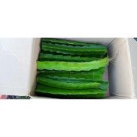 ราคา ต้นพันธุ์แก้วมังกรสีแดงบรรจุ 10 ท่อน (40923551766)