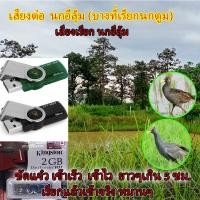 ราคา เสียงนกอีลุ้ม นกตูม และรวมเสียง2 เสียงใน 1 แฟลไดร เสียงยาวๆ ไม่มีโฆษณาแทรก นกได้ยินเข้าเร็ว เข้าไว หมานๆ คุ้มค่าคุ้มราค (22973390393)