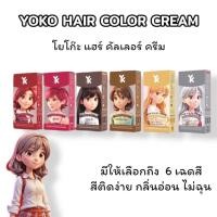 ราคา สีย้อมผม โยโก๊ะ แฮร์ คัลเลอร์ ครีมYOKO Yk เพิ่มการบำรุงผม 6 เฉดสี ปริมาณ 100 มล. (29262977317)