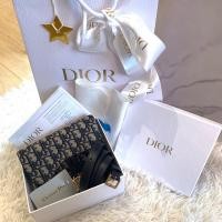 ราคา CO230107690] Dior / Saddle Belt Pouch (19771562966)