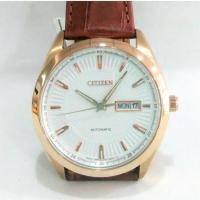 ราคา Citizen Automatic Sapphire Made in Japan รุ่นNP4013-06A (1852104645)