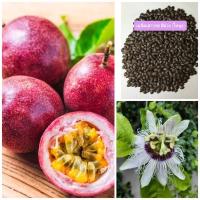 ราคา เมล็ดเสาวรส เมล็ดเสาวรสหวานสีม่วง เมล็ดเสาวรสไทนุง 1 ซองบรรจุ 30 เมล็ด (18954745459)