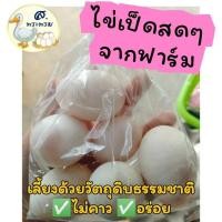 ราคา ไข่เป็ดสดๆจากฟาร์มโดยตรง จากเป็ดไข่สาวอารมณ์ดี (แพ็ค6ฟอง)น้ำหนัก50-55กรัม (25005194381)