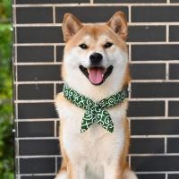 ราคา Rui Chai สไตล์ญี่ปุ่นสไตล์ญี่ปุ่น Tang หญ้าผ้าพันคอผ้าฝ้าย Shiba Inu ตุ๊กตาสัตว์เลี้ยงแมวอุปกรณ์สุนัขมะนาวผ้าพันคอผ้าพันคอ Bowknot ※ 8.5 (27257073201)