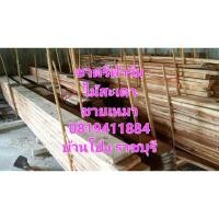 ราคา ไม้สะเดา ไม้สะเดาเทียม ไม่สะเดาแปรรูป เหมาหมดไม่มีส่ง (52255060995)