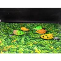 ราคา เหยื่อตกปลาแกมมาล่อลาย 3 มิติ (26887921116)