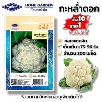 ราคา กะหล่ำดอก ผักซอง เจียไต๋ ผักซอง ผักสวนครัว ผักเจียไต๋ ประมาณ 300 เมล็ด (45402336659)