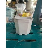 ราคา กระถางแปดเหลี่ยม ทรงสูง สีขาวครีม กว้าง 4*4 นิ้ว สูง 3.5 นิ้ว (41973672113)