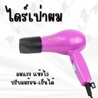 ราคา ไดร์ ไดร์เป่าผม ไดร์เป่าผมพับเก็บได้ CKL750A (19485024377)
