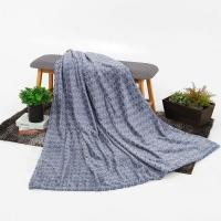 ราคา Homebase HLS AMORA ผ้าห่มโพลีเอสเตอร์ W152xD1xH203 Cm สีม่วง สีฟ้า (25590955359)