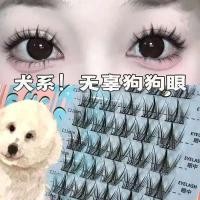 ราคา Perfect girl-ขนตาการ์ตูนสไตล์สุนัขตุ๊กตาบาร์บี้ไร้เดียงสาไตรภาคธรรมชาติคลัสเตอร์เดียวสามเณร (43228668863)