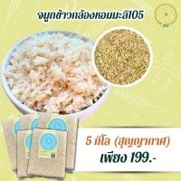 ราคา จมูกข้าวกล้องหอมมะลิสุรินทร์105 (สูญญากาศ) (18881238028)