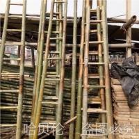 ราคา บันได2วิศวกรรมไม้ไผ่ไม้ไผ่วิศวกรรมเมตรตรง4เมตรตรงบันไดบันได3บันไดครัวเรือนเมตรไม้ไผ่พลังงานอนุบาล ชม.6ชม (45705980420)