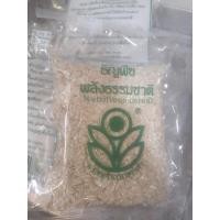 ราคา ข้าวโอ๊ต อบ บรรจุ 150 กรัม (Rolled Oat) (8030966534)