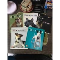 ราคา อยากเลี้ยง อยากรู้จักน้องหมาก่อนเลี้ยง มาหาอ่านก่อนได้ค่ะ (29968475567)