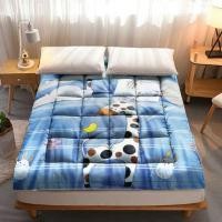 ราคา ท็อปเปอร์ขนห่านเทียมสีพื้น เปลี่ยนฟูกแข็งๆ ให้ฟูหนานุ่มในพริบตา mattress (4132227406)