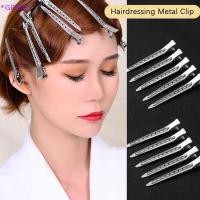 ราคา GPHA> 10 ชิ้น Hair Care คลิปสแตนเลส Hairdressing Section คลิป Clamps สําหรับ Hairdressing เครื่องมือใหม่ (44603672805)