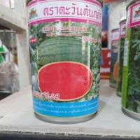 ราคา เมล็ดแตงโม ขุนแผน ซี 28 ตราตะวันต้นกล้า 100 กรัม ผลใหญ่ยาวรี หวานกรอบ (22415269861)