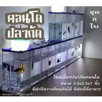 ราคา โหลปลากัด พลาสติกใส ชุด8ใบ ขนาด3.5x3.5x7นิ้ว พร้อมฝาปิด วางซ้อนได้ ตู้ปลากัด โหลเลี้ยงปลาคอนโด (7779194443)