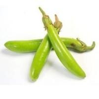 ราคา มะเขือยาวสีเขียวถูกที่สุด10บ.เมล็ดพันธุ์มะเขือยาว 20 เมล็ด☘️ปลูกง่ายขึ้นไวลูกดก (8215153642)