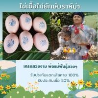 ราคา ไข่เชื้อไก่ยักษ์บราห์ม่าเกรดสวยงาม พ่อแม่พันธุ์ตัวใหญ่ สวยๆทุกตัว (28732285690)