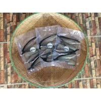 ราคา ปลาดุกแดดเดียวแพ็คสูญญากาศ (10104287005)