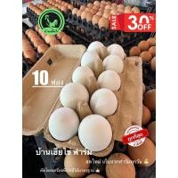 ราคา ไข่เค็ม ไข่แดงมันเยิ้ม10ฟอง สูตรสมุนไพร เบอร์0 เค็มน้อย (26059927448)