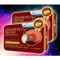 ราคา Lingzhi Plus Shitake หลินจือ พลัส ชิตาเกะ เห็ดหลินจือแดงสกัด 60 แคปซูล ของแท้ (9868852654)