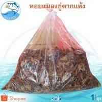 ราคา หอยแมลงภู่ตากแห้ง 5กิโล 1ถุง หอย หอยแมลงภู่ หอยแมลงภู่แห้ง หอยแห้ง อาหารทะเลแห้ง อาหารทะเลแปรรูป (12702793471)