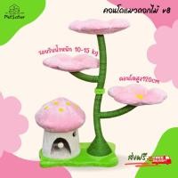 ราคา คอนโดแมวดอกไม้ สามดอกสีชมพู แข็งแรงมาก v8 x Petsister (29400204327)