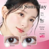 ราคา มินิ | Kitty Kawaii - Mini Someday (Brown/Gray) คอนแทคเลนส์ ค่าอมน้ำ 55% (28970778407)